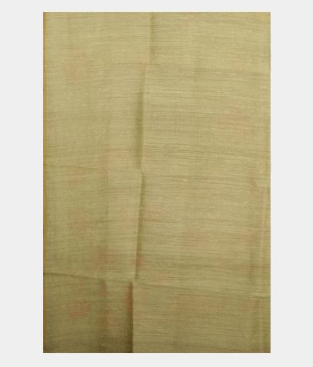 Green Kora Organza Printed Saree T2443123