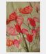 Green Kora Organza Printed Saree T2443124
