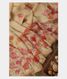 Beige Kora Organza Printed Saree T2443161