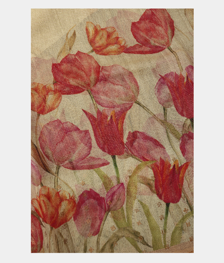 Beige Kora Organza Printed Saree T2443162