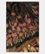 Black Kora Organza Printed Saree T2443021