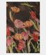 Black Kora Organza Printed Saree T2443022
