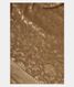 Dark Beige Tussar Georgette Silk Saree T952351