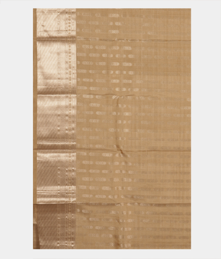 Beige Handwoven Kanjivaram Silk Saree T2212713
