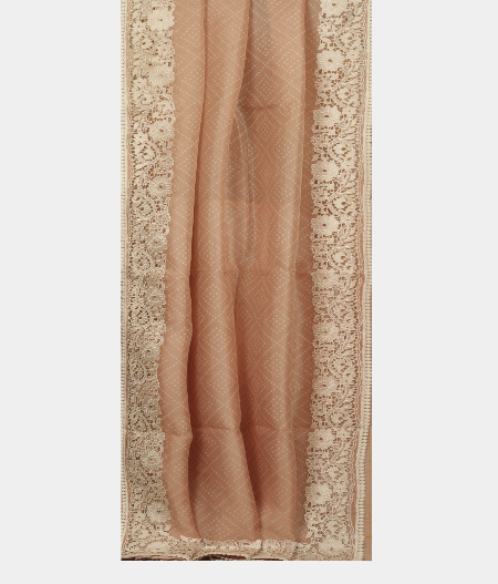 Peach Kora Organza Printed Saree T2409254