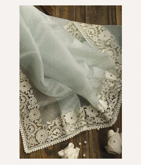 Light Blue Kora Organza Printed Saree T240927-image