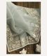 Light Blue Kora Organza Printed Saree T2409271