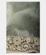 Light Blue Kora Organza Printed Saree T2409272