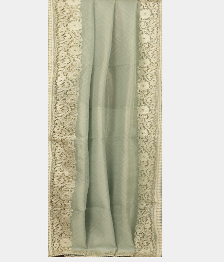 Light Blue Kora Organza Printed Saree T2409274