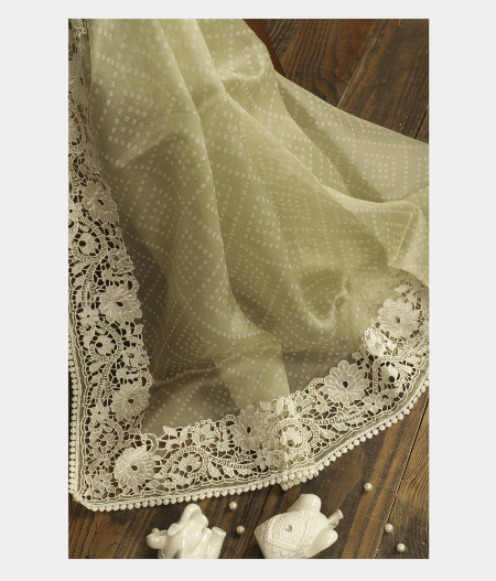 Light Green Kora Organza Printed Saree T240924-image