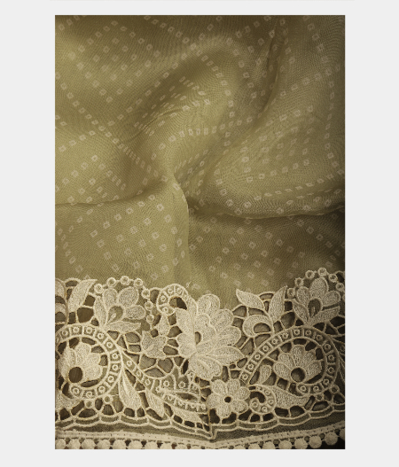 Light Green Kora Organza Printed Saree T2409242