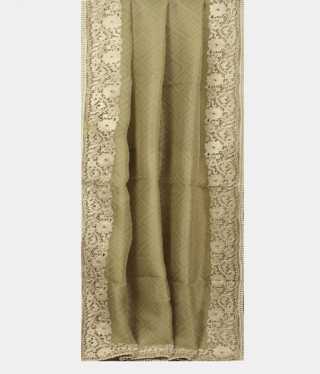 Light Green Kora Organza Printed Saree T2409244