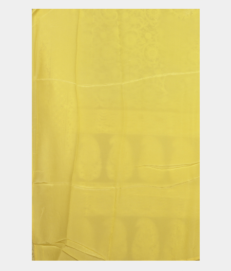 Light Green  Kora Organza Embroidery Saree T2406933