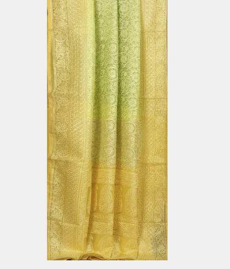 Light Green  Kora Organza Embroidery Saree T2406934