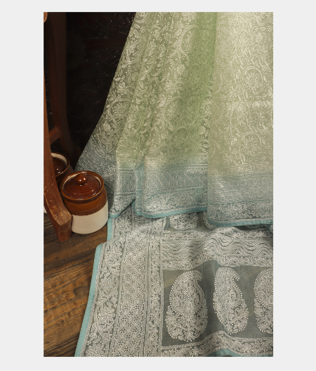 Light Green Kora Organza Embroidery Saree T240692-image