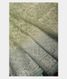 Light Green Kora Organza Embroidery Saree T2406922