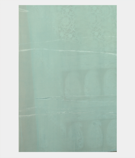 Light Green Kora Organza Embroidery Saree T2406923