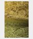 Yellow  Kora Organza Embroidery Saree T2406902