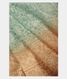 Light Blue Kora Organza Embroidery Saree T2406862