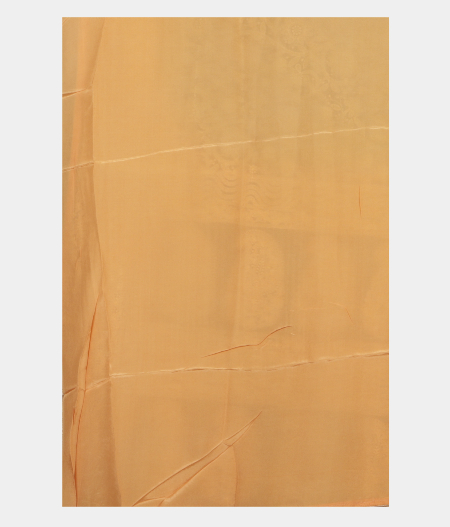 Light Blue Kora Organza Embroidery Saree T2406863