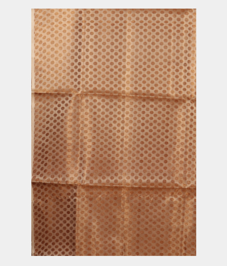 White Woven Organza Saree T2407293