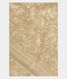 Beige Kora Organza Embroidery Saree T2369301