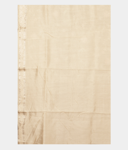 Beige Kora Organza Embroidery Saree T2369303