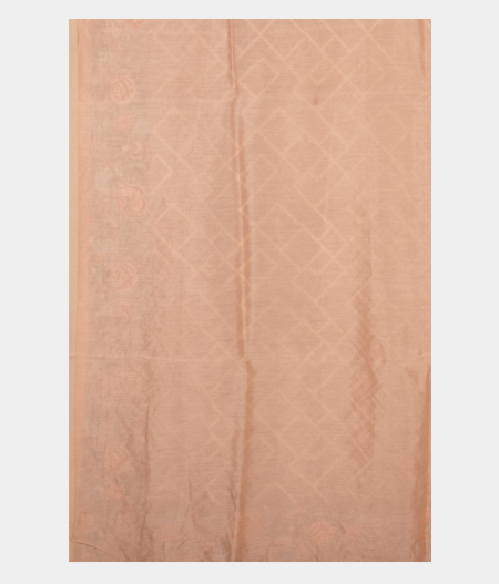 Cream Organza Embroidery Saree T2409463