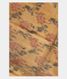 Beige  Soft Silk Saree T2425791