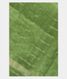 Green Woven Raw Silk Saree T2402651