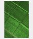 Green Woven Raw Silk Saree T2402701