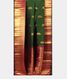 Green Handwoven Kanjivaram Silk Saree T2437272