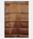 Dark Brown Soft Printed Cotton Saree T2418383