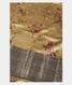 Beige Chaniya Silk Saree T2399041