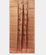 Peach Chaniya Silk Saree T2190902