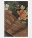Grey Tussar Printed Saree T1933631