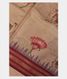 Light Grey Vidarbha Tussar Saree T2489711