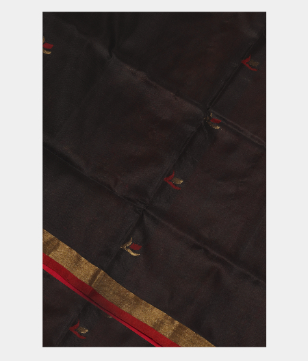 Black Uppada Silk Saree T246016-image
