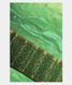 Blusih Green Chaniya Silk Saree T2427071