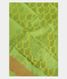Fluorescent Green Soft Silk Saree T2483361