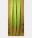 Fluorescent Green Soft Silk Saree T2483362