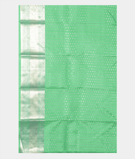 Light Green Handwoven Kanjivaram Silk Saree T2425223