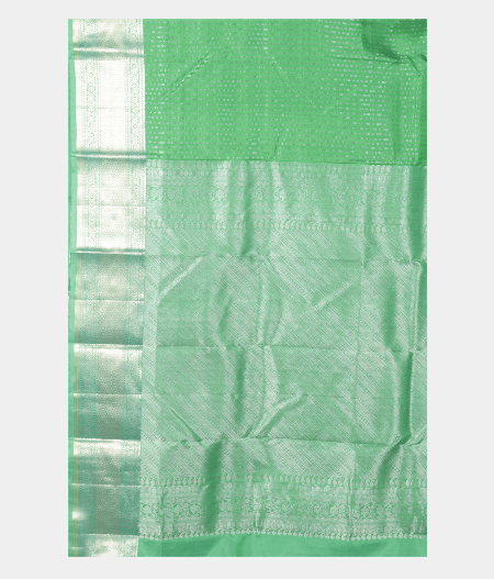 Light Green Handwoven Kanjivaram Silk Saree T2425224