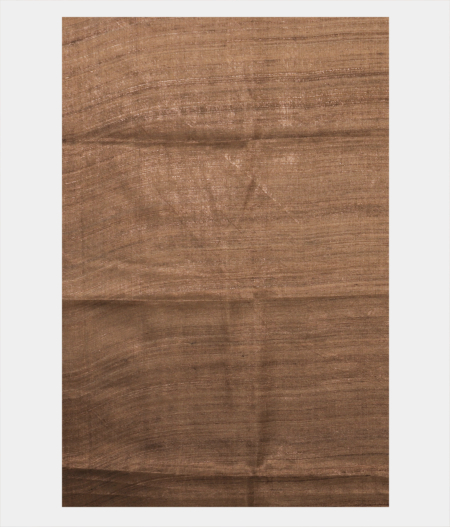 Beige Tussar Printed Saree T2462583