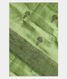 Green Banaras Tussar Saree T2480331
