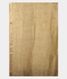beige-linen-embroidery-saree-t249092-t249092-c