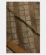 Greenish Grey Tussar Printed Saree T2493411
