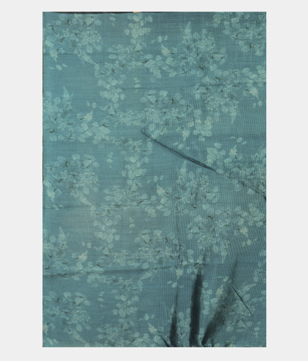 Blue Kora Organza Printed Saree T2475693