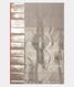 Silver Grey Handwoven Kanjivaram Silk Saree T2454184