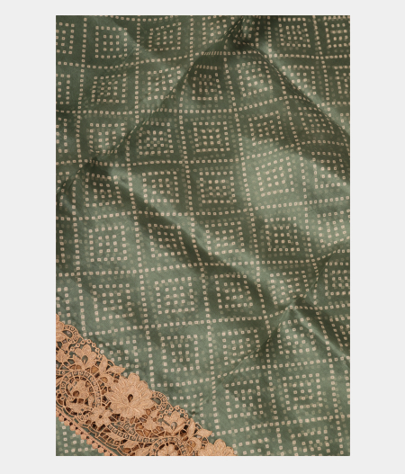 Greenish Grey Organza Cut Work Saree T251130-image